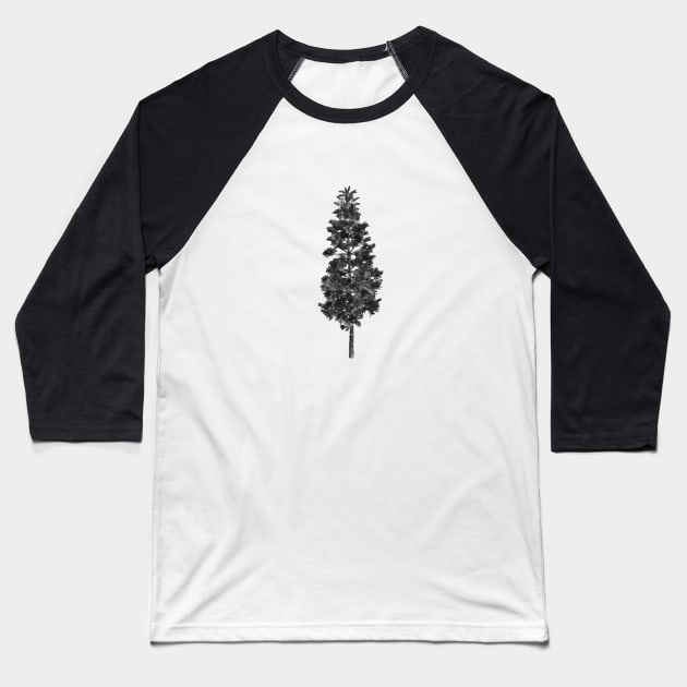Pine Tree Silhouette in vintage retro texture Baseball T-Shirt by MalmoDesigns